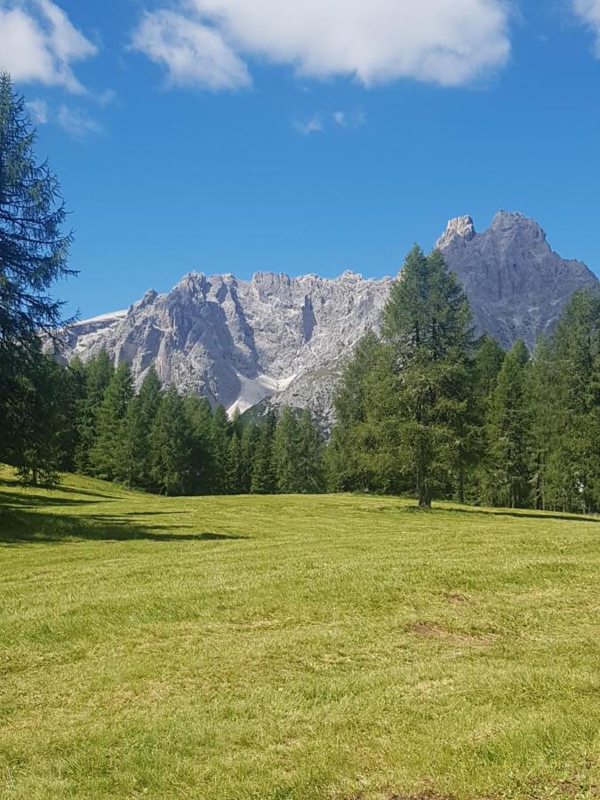 Appartamento Comelico Dolomiti Candide Exterior photo